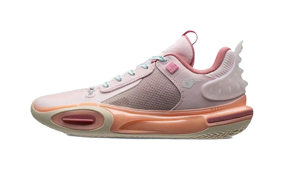 LI-NING ALL CITY 11 28cm 未使用 LI-NING ウェイド オールシティ 11（AC11）「兎年」- バスケットボール