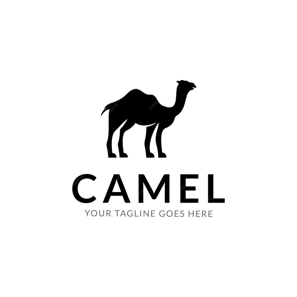 CAMEL vjsneaker.com