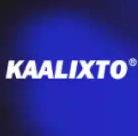 Kaalixto VJSNEAKER