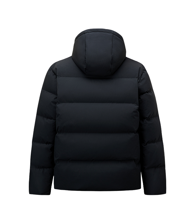 Men's black down puffer jacket, hooded back view with quilted panels