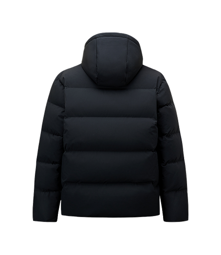Men's black down puffer jacket, hooded back view with quilted panels