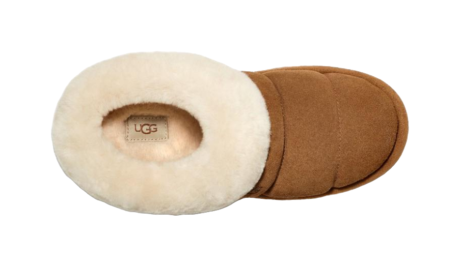 UGG Tazzlita Slipper Chestnut Womens  vjsneaker.com