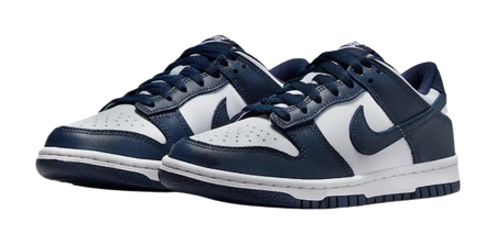 Nike Dunk Low Slip Resistant Waterproof Low top Casual Comfortable Blue  vjsneaker.com