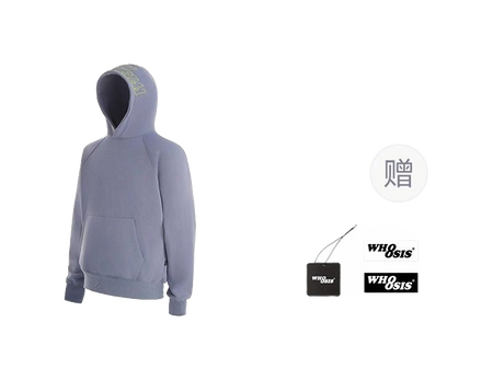 WHOOSIS letter embroidery logo hoodie casual loose China-Chic pullover multicolor plush autumn and winter sweater for men and women  vjsneaker.com