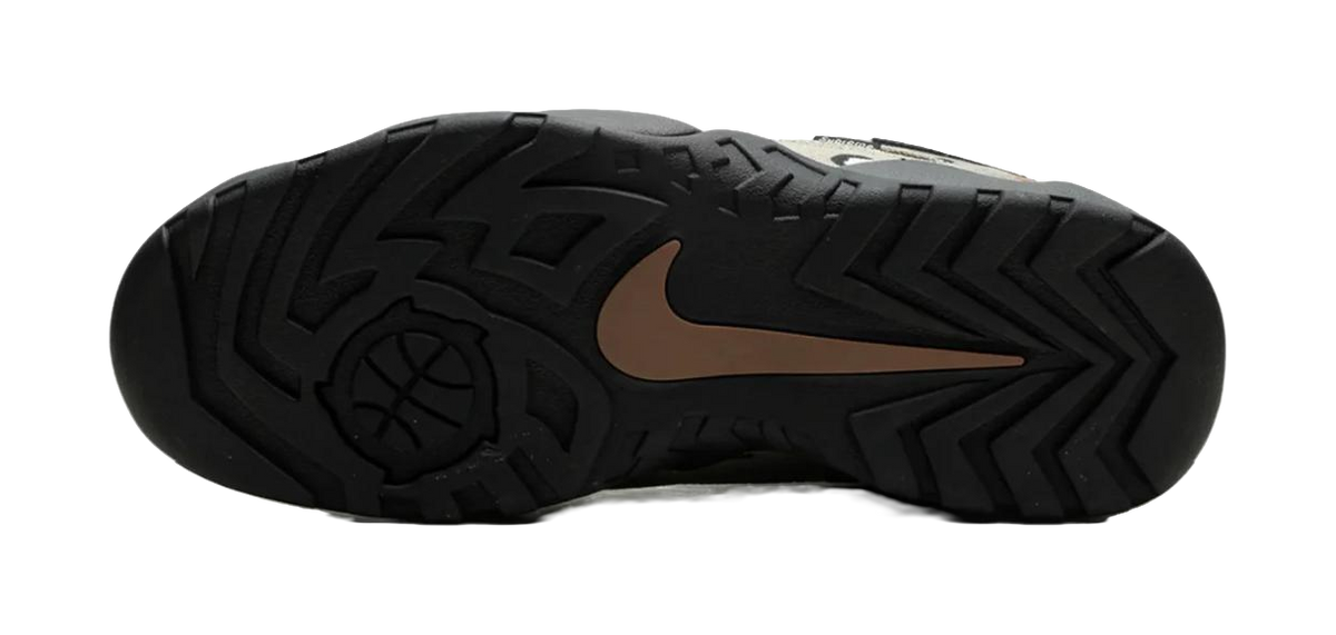 Nike SB Darwin Low Supreme Desert Camo  vjsneaker.com