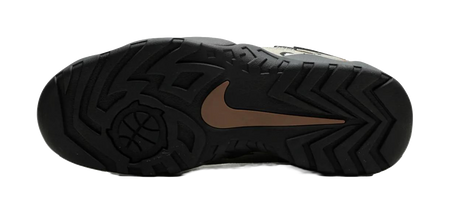 Nike SB Darwin Low Supreme Desert Camo  vjsneaker.com