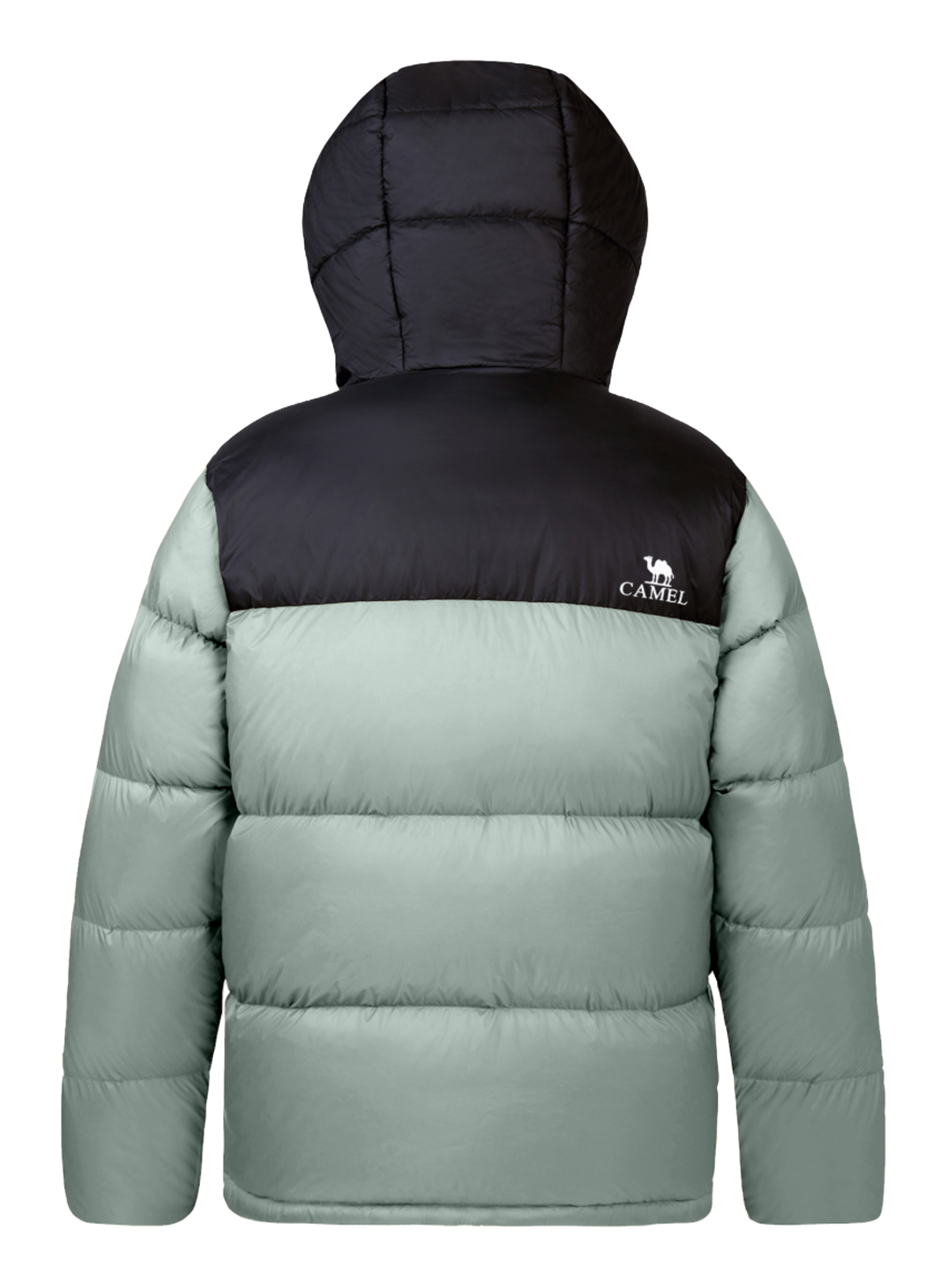 Two-tone unisex down jacket with hood, quilted panels, black top and sage green body