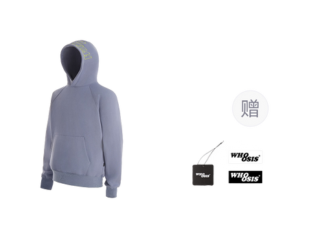 WHOOSIS letter embroidery logo hoodie casual loose China-Chic pullover multicolor plush autumn and winter sweater for men and women  vjsneaker.com