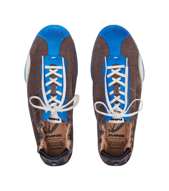 Pair of low-top sneakers with white laces; PANE logo on brown tongues and blue collars