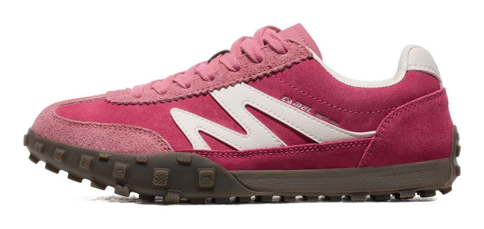 CAMEL Mountains And Seas Low top Skateboard Shoes Womens  VJSNEAKER