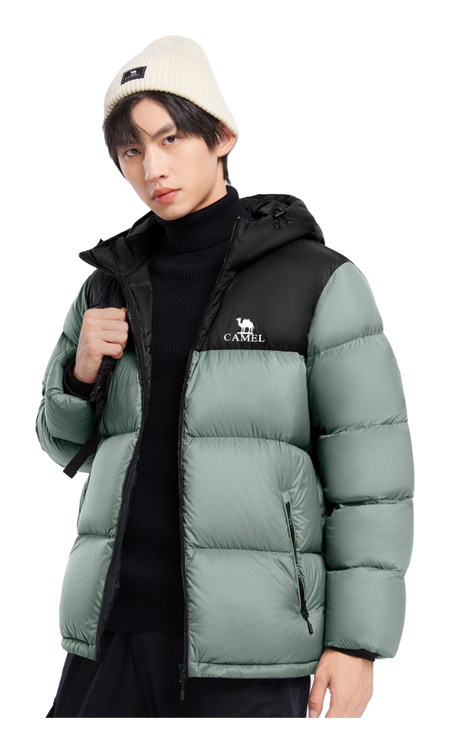 Two-tone down jacket with hood, front zipper, CAMEL logo chest pocket; sage green sleeves