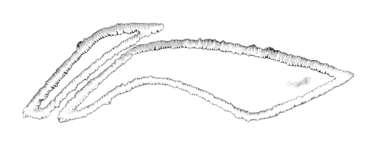 LiNing Cotton Baseball Caps Unisex Black  VJSNEAKER