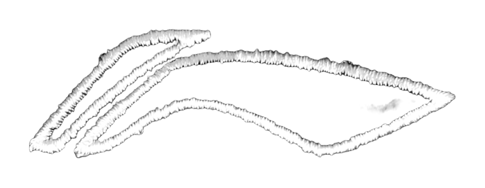 LiNing Cotton Baseball Caps Unisex Black  VJSNEAKER