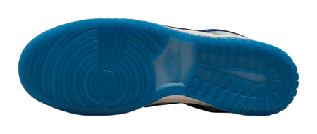 Nike Dunk Low top Skateboard Shoes Unisex White Blue  vjsneaker.com