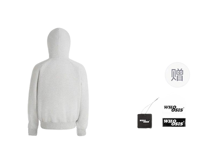 WHOOSIS letter embroidery logo hoodie casual loose China-Chic pullover multicolor plush autumn and winter sweater for men and women  vjsneaker.com