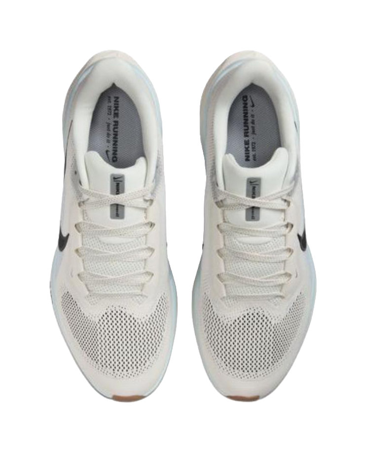 Nike Air Zoom Pegasus 41 Sail Blue Tint Wolf Grey Anthracite  vjsneaker.com