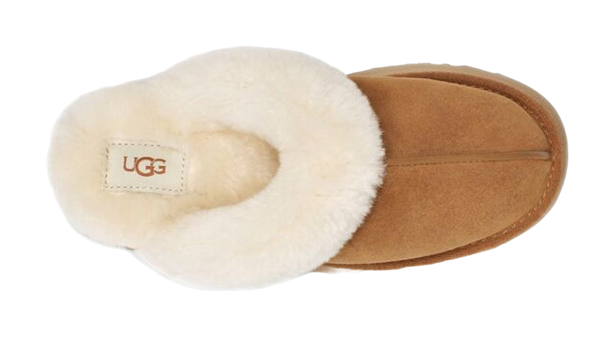 UGG Disquette Slippers Chestnut Womens  vjsneaker.com