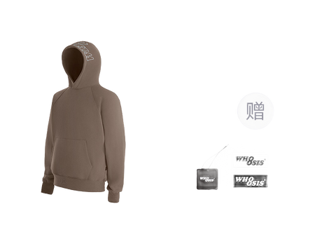 WHOOSIS letter embroidery logo hoodie casual loose China-Chic pullover multicolor plush autumn and winter sweater for men and women  vjsneaker.com