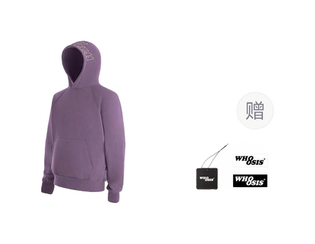 WHOOSIS letter embroidery logo hoodie casual loose China-Chic pullover multicolor plush autumn and winter sweater for men and women  vjsneaker.com