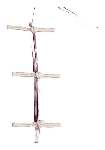 Adidas Originals CTT 3.1 SOFT Jacket Unisex  vjsneaker.com