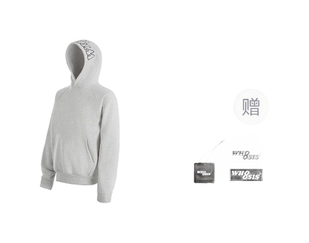 WHOOSIS letter embroidery logo hoodie casual loose China-Chic pullover multicolor plush autumn and winter sweater for men and women  vjsneaker.com