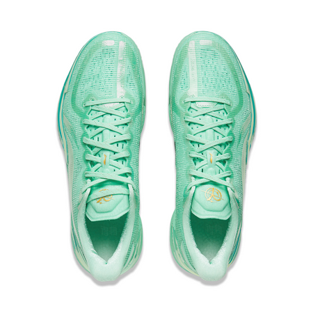 Pair of mint-green shoes showing lace-up tongues and light translucent heel guards.