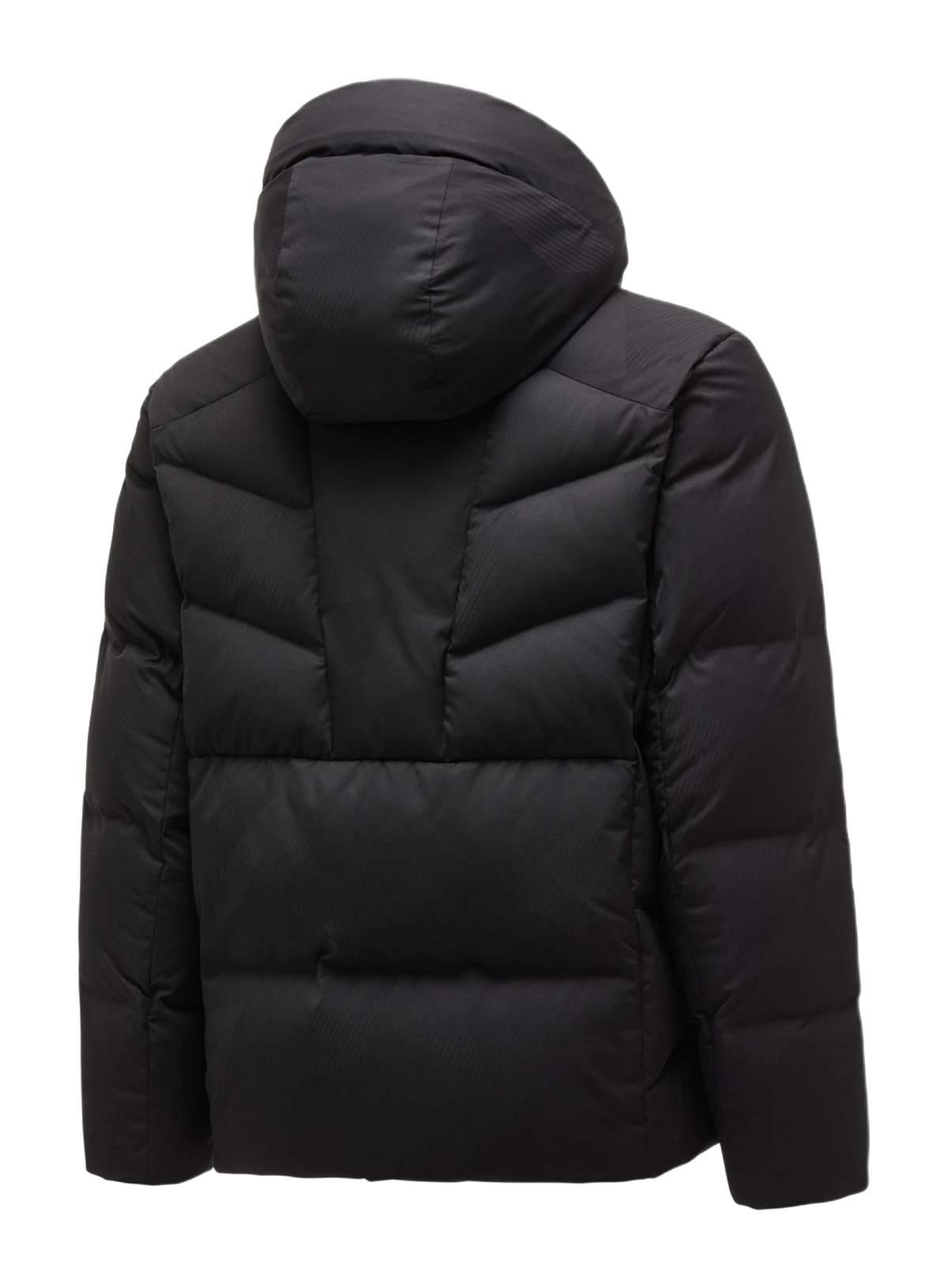 Men's black hooded down puffer jacket, back view with stitched quilt panels
