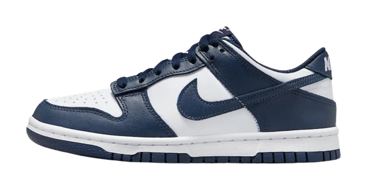 Nike Dunk Low Slip Resistant Waterproof Low top Casual Comfortable Blue  VJSNEAKER