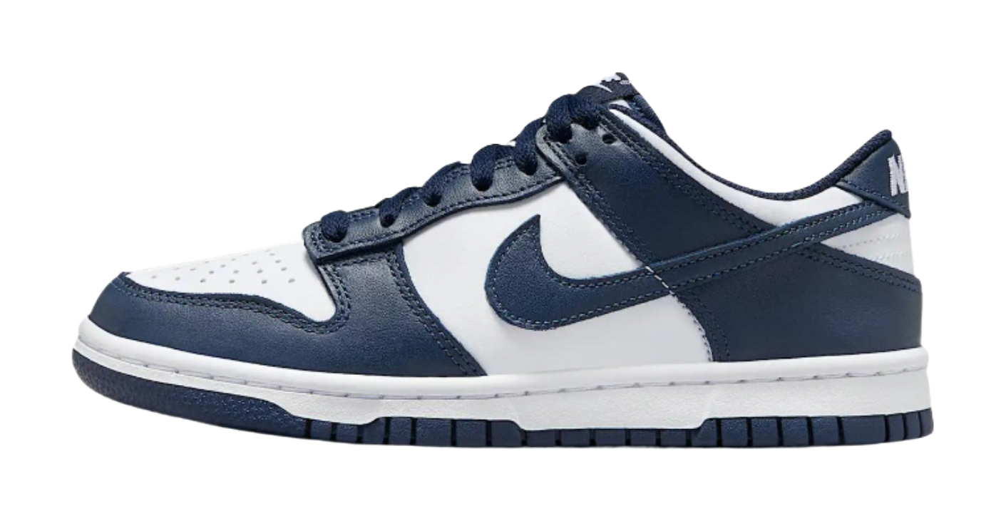 Nike Dunk Low Slip Resistant Waterproof Low top Casual Comfortable Blue  VJSNEAKER