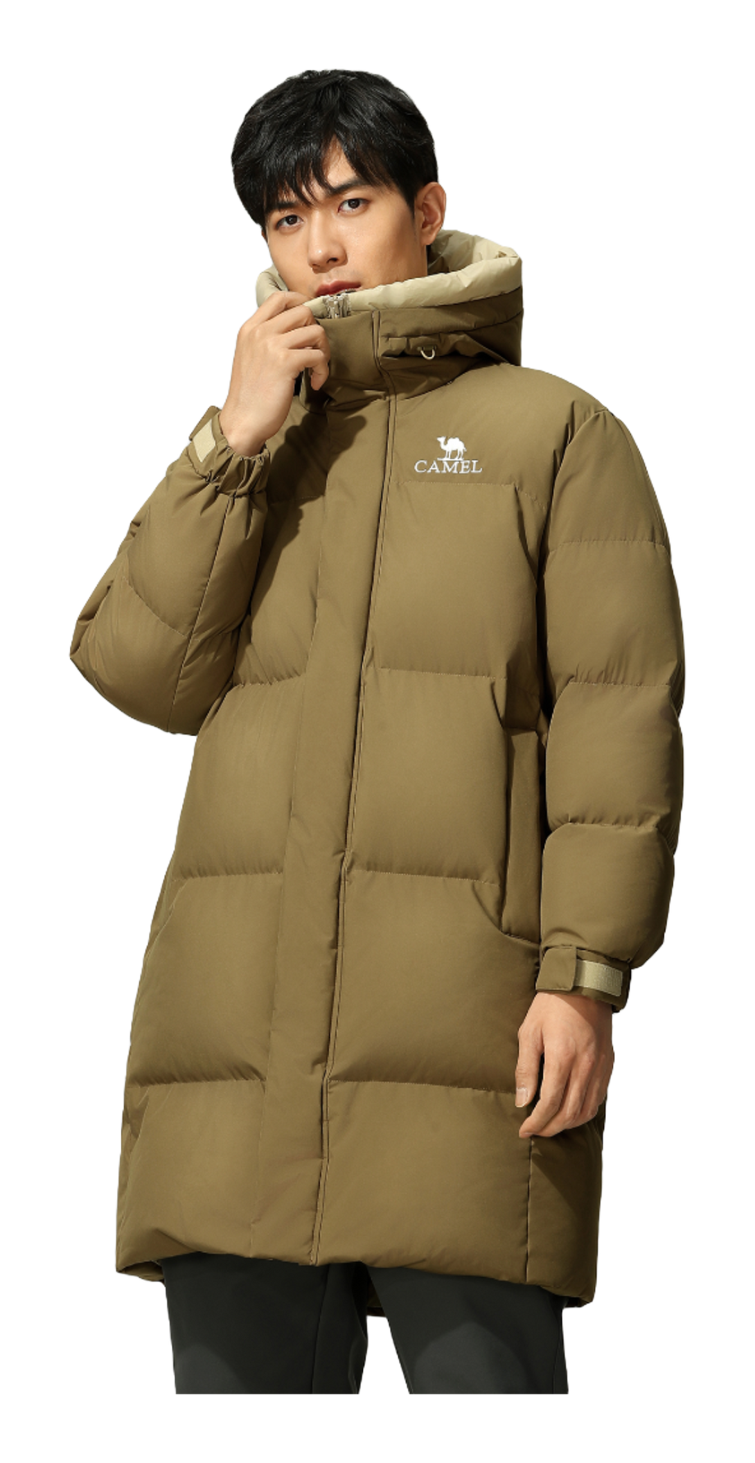 CAMEL Down Jackets Mens  VJ SNEAKER