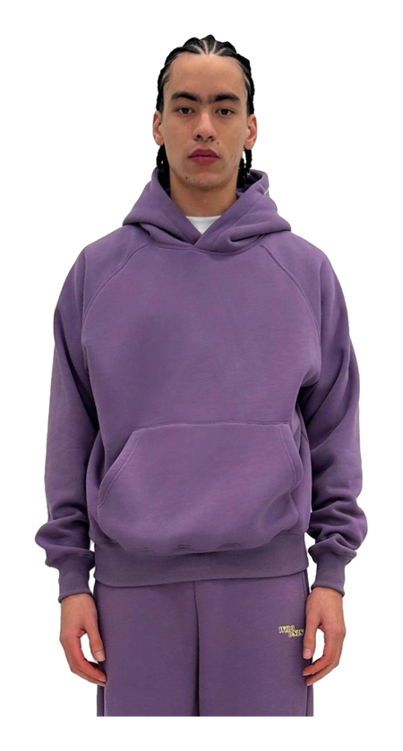 WHOOSIS letter embroidery logo hoodie casual loose China-Chic pullover multicolor plush autumn and winter sweater for men and women  vjsneaker.com