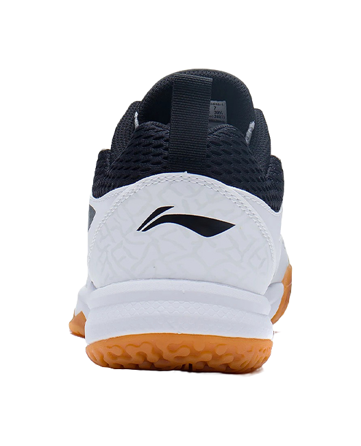 Li Ning Ace 21 V1 Low-Top Badminton Shoes - Slip & Abrasion Resistant Breathable Unisex White Black 