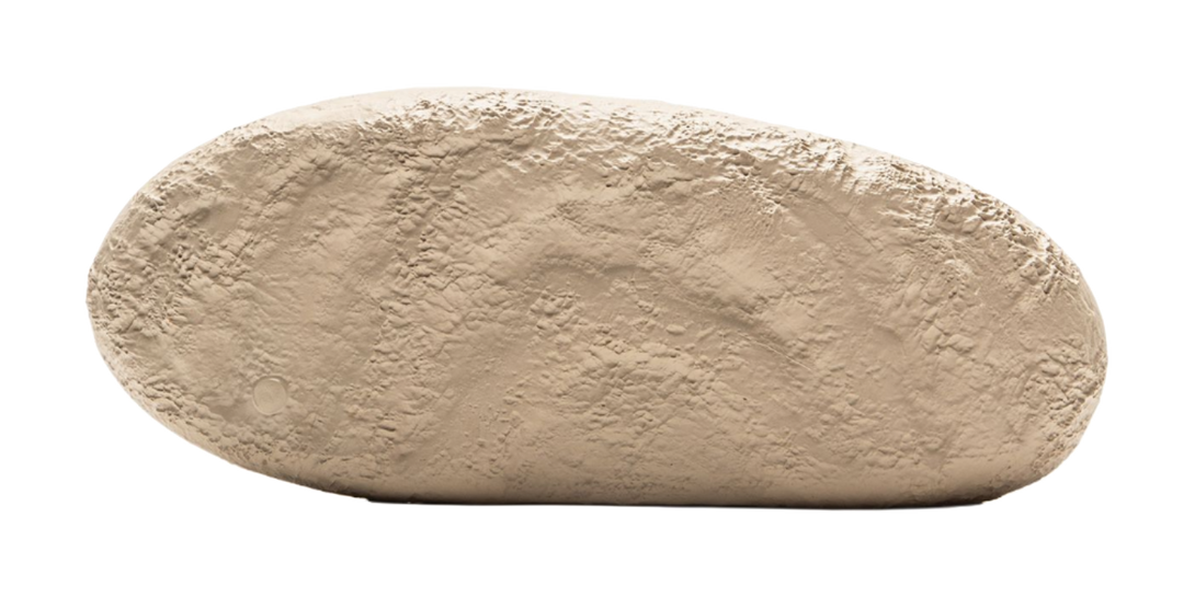 LiNing Vede Slippers Cushioning, Wear Resistant Low top Casual Shoes Men's Deerskin Brown 