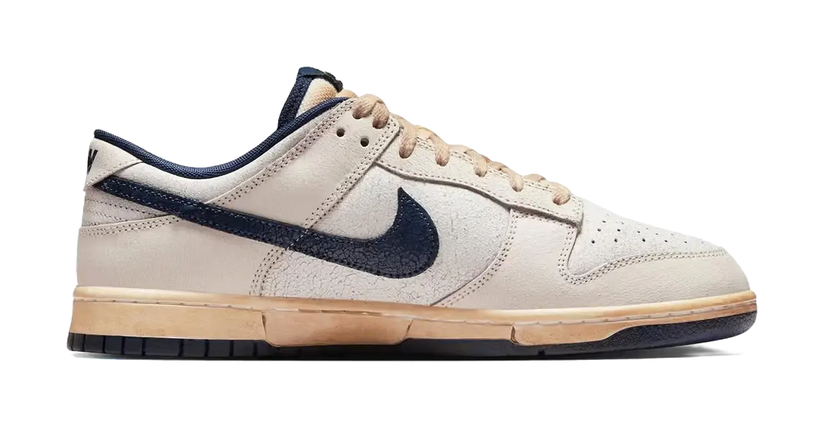 Nike x Stranger Things Dunk Low top Skateboard Shoes Unisex Gray Blue  vjsneaker.com