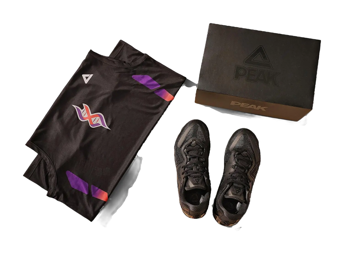 Peak Taichi Wushuang "Black Warrior" - Basketball Shoes Men's  vjsneaker.com