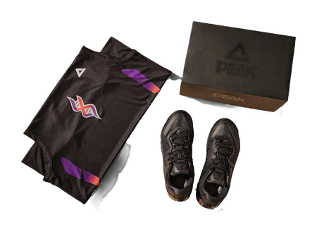 Peak Taichi Wushuang "Black Warrior" - Basketball Shoes Men's  vjsneaker.com