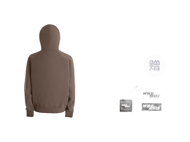 WHOOSIS letter embroidery logo hoodie casual loose China-Chic pullover multicolor plush autumn and winter sweater for men and women  vjsneaker.com