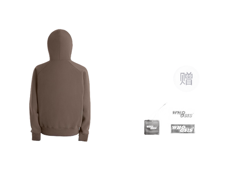 WHOOSIS letter embroidery logo hoodie casual loose China-Chic pullover multicolor plush autumn and winter sweater for men and women  vjsneaker.com