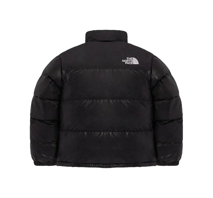 THE NORTH FACE MS 1996 Eco Nuptse Jacket Black Korea Version  vjsneaker.com