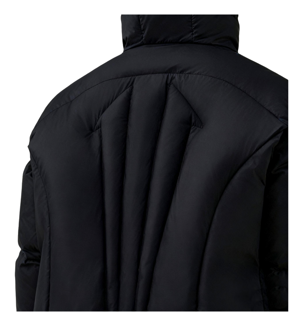 Back view black down jacket with hood and vertical quilt paneling
