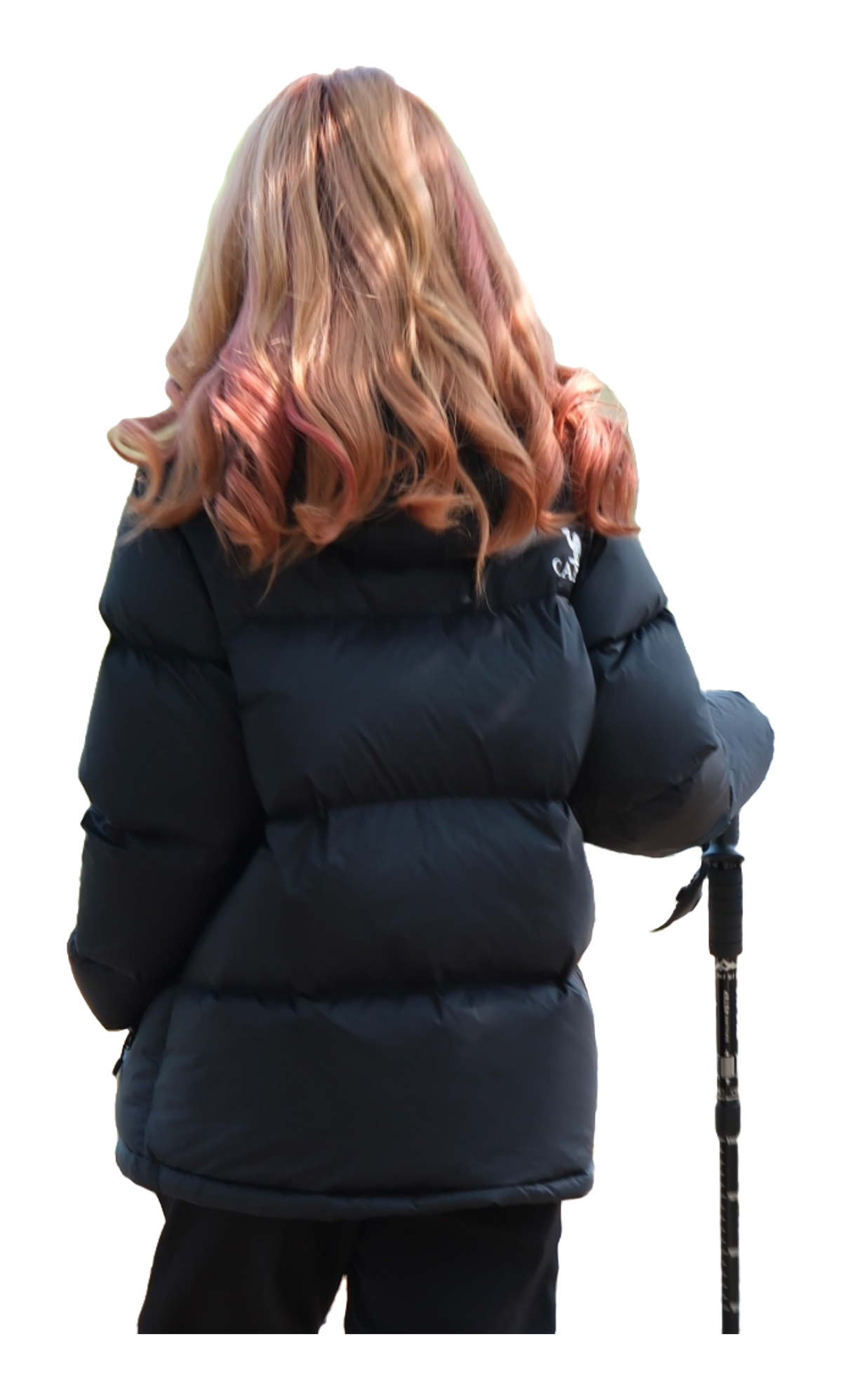 Navy hooded puffer jacket back view with quilted insulation and zip front