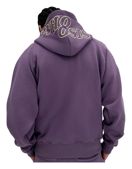 WHOOSIS letter embroidery logo hoodie casual loose China-Chic pullover multicolor plush autumn and winter sweater for men and women  vjsneaker.com