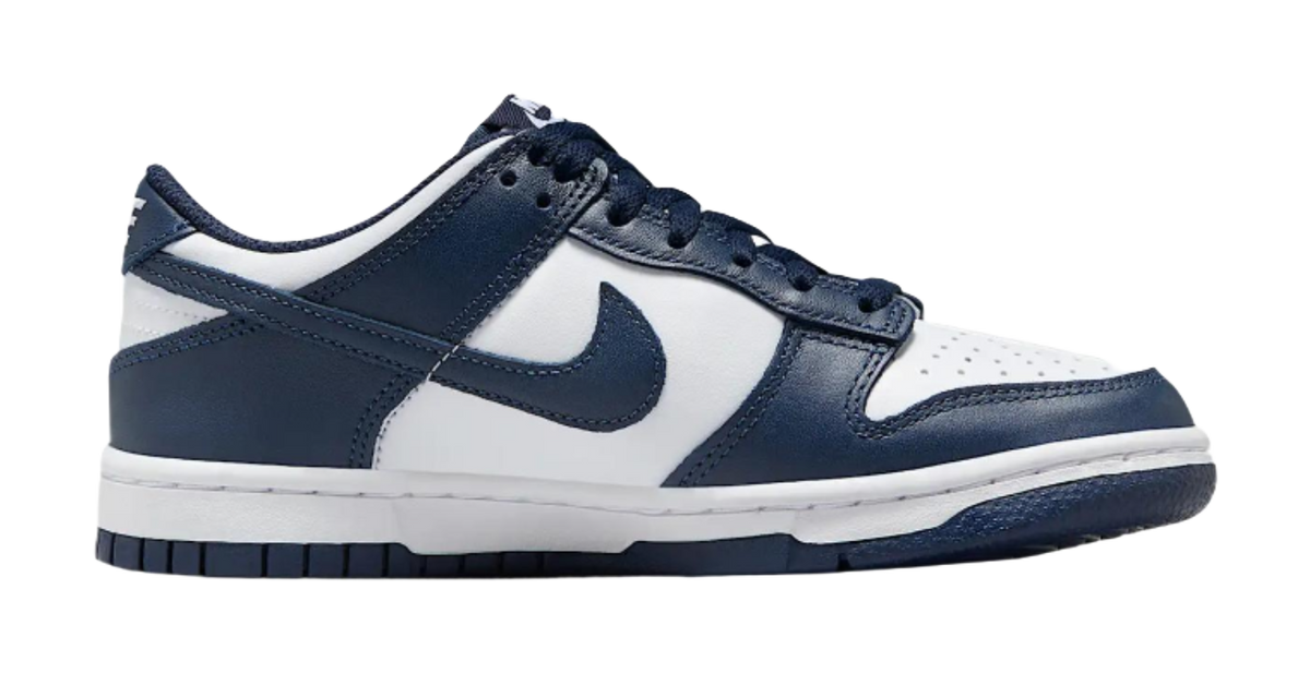 Nike Dunk Low Slip Resistant Waterproof Low top Casual Comfortable Blue  vjsneaker.com