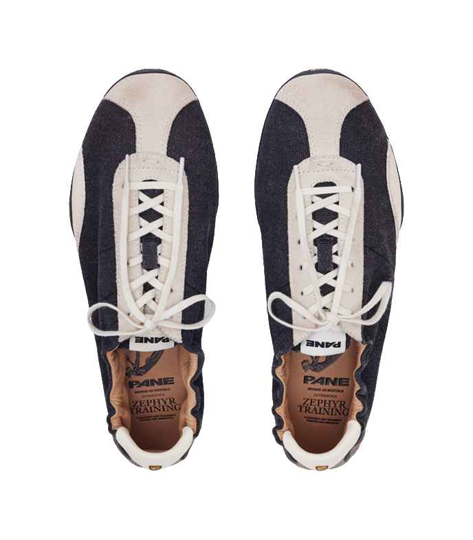 PANE low-top training shoes, front view, white laces on dark uppers