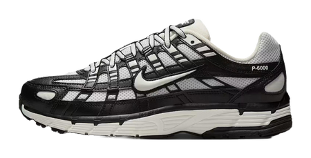 Nike P 6000 Abrasion Resistant Low top Casual Running Shoes Womens Silver Blue  vjsneaker.com