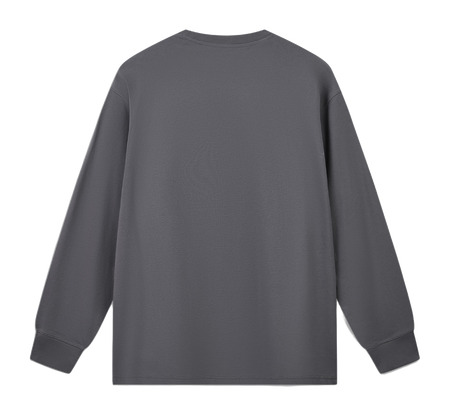 Men's gray long-sleeve T-shirt, back view, crew neck and relaxed fit