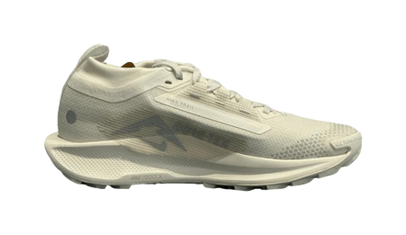 Nike Pegasus Trail 5 Gore Tex Sail Photon Dust Womens  vjsneaker.com